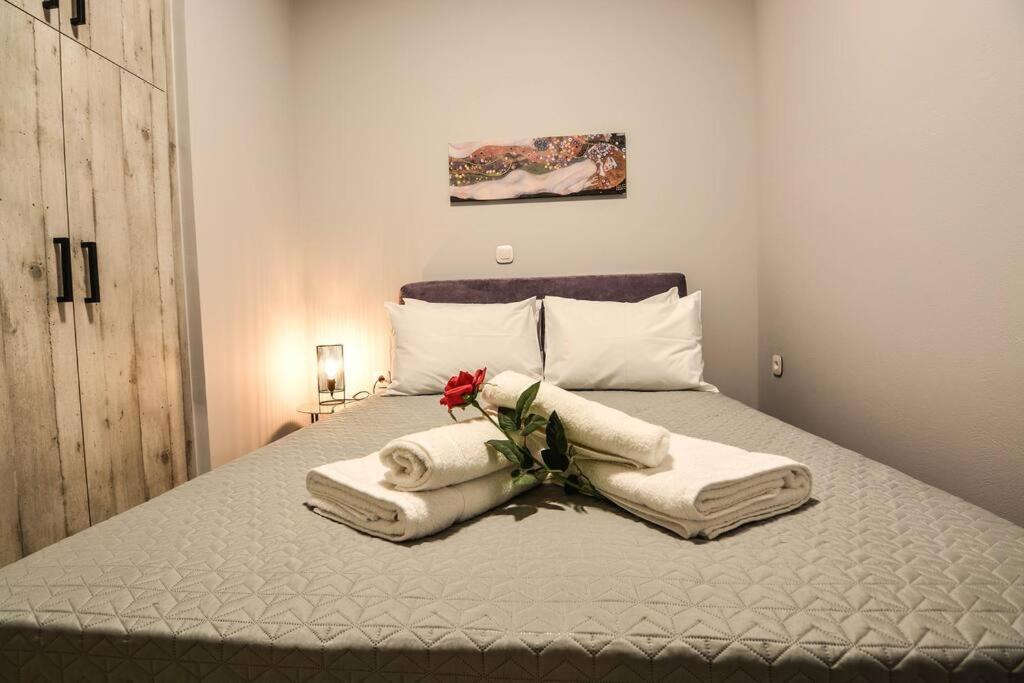 Apartament Gm